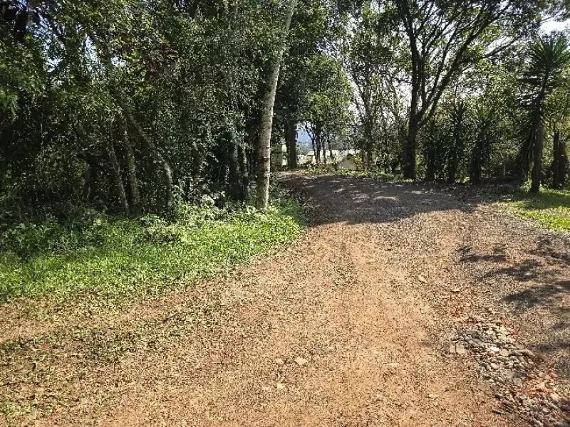[569]CHÁCARA EM TAQUARA 5,7HA COM CASA, POMAR, AÇUDE, ROÇA E FIBRA ÓPTICA - Foto 3