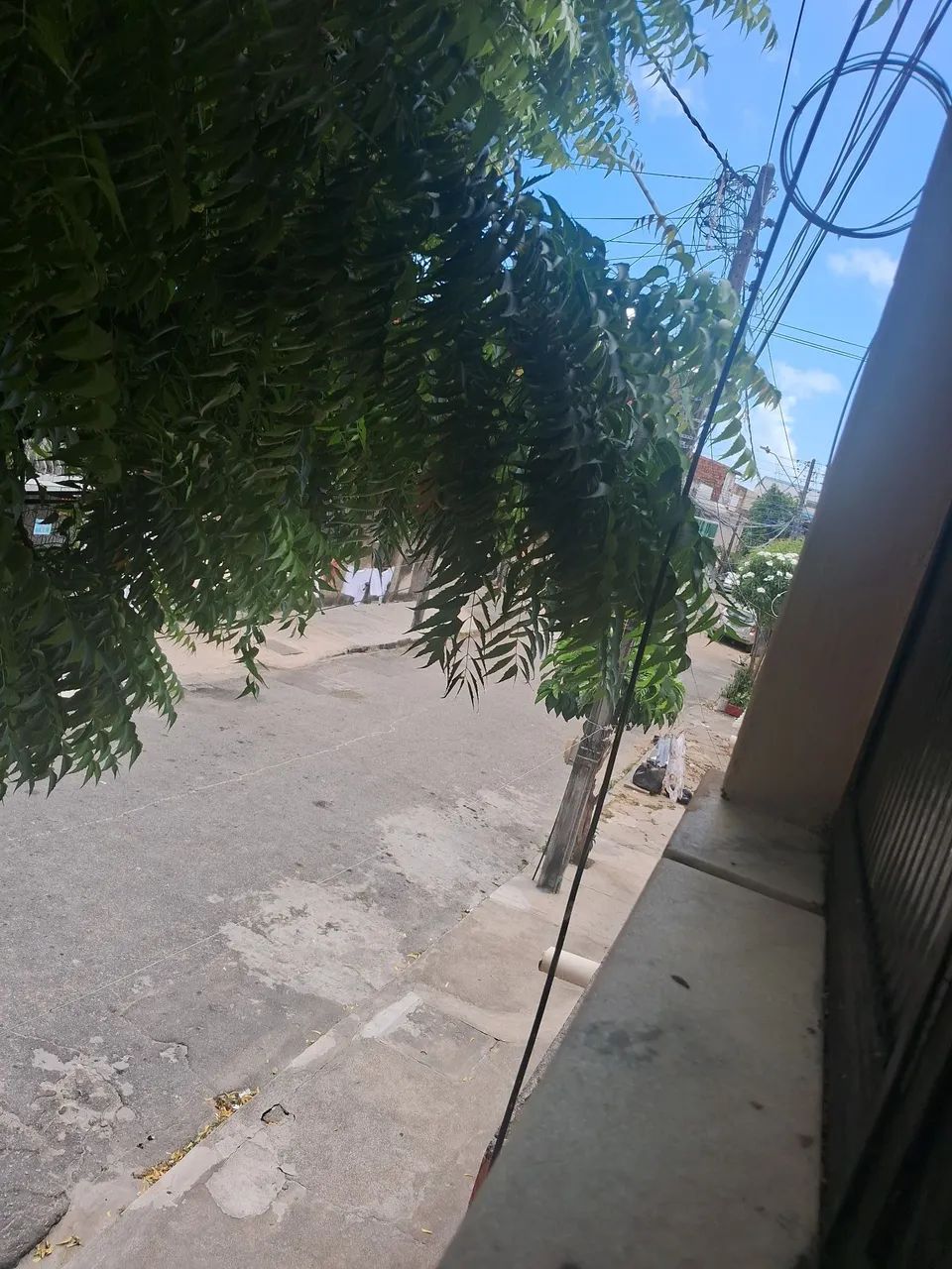 Foto - Fortaleza - Monte Castelo