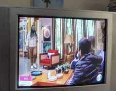 Televisão de Tubo 29 LG