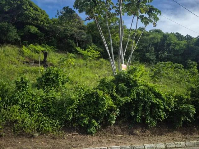 TERRENO NO CENTRO PRÓXIMO A IGREJINHA - Foto 4