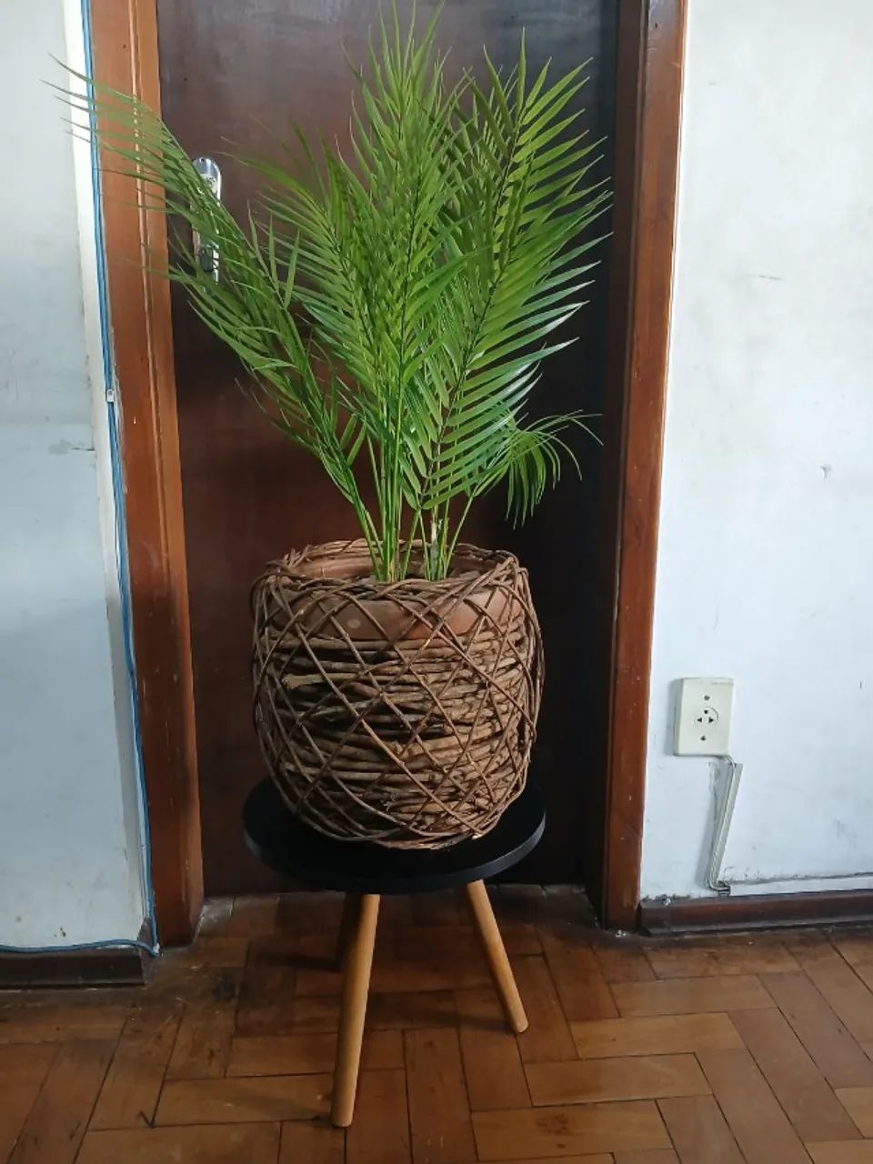 VASO DE PLANTA - Foto 2