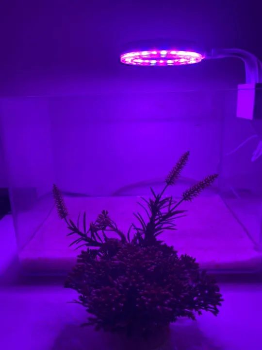 Luminária LED 6W para Aquário HY-110R - Foto 2