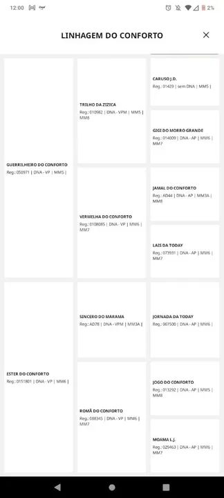 ÉGUA MM REGISTRADA! - Foto 2