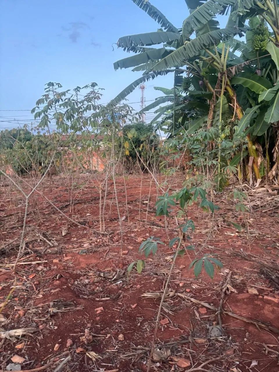 Lote para galpão próximo a Bombril - Foto 3