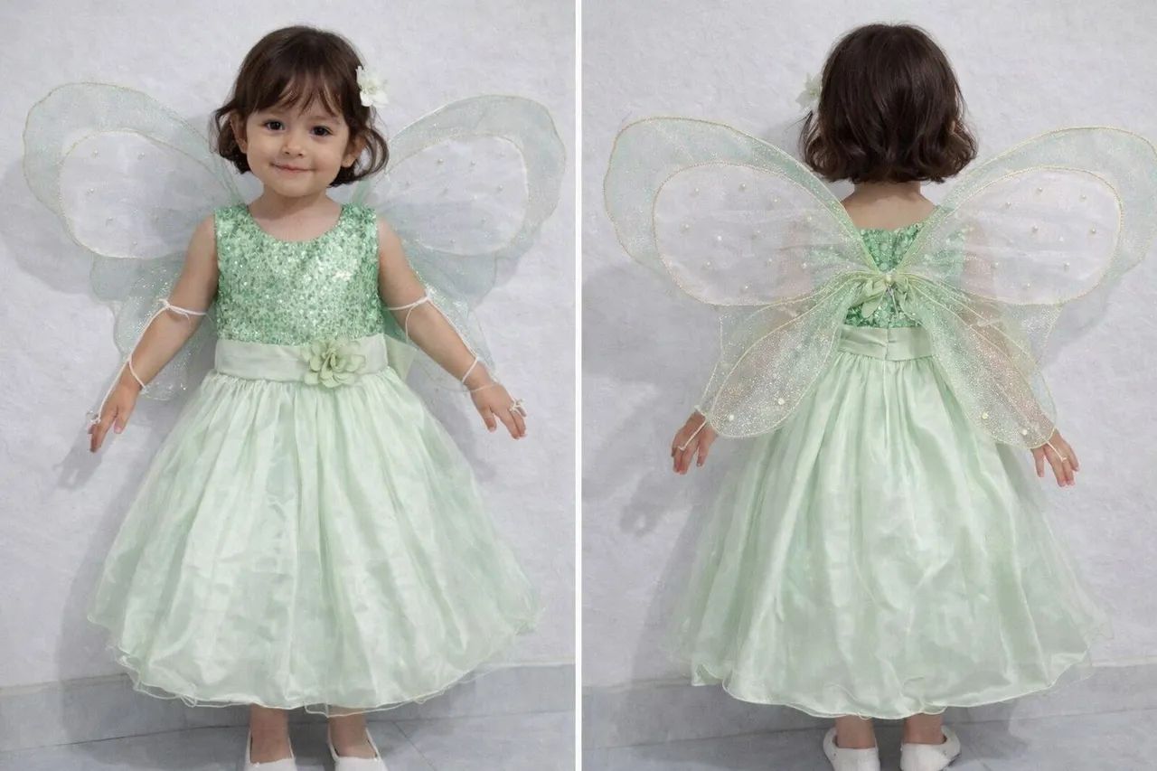 Fantasia infantil borboleta 