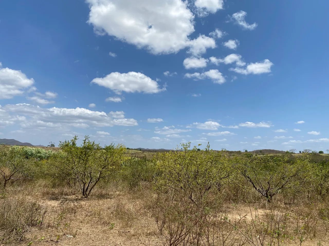 Vendo Terreno Precedência em Maranguape  - Foto 4