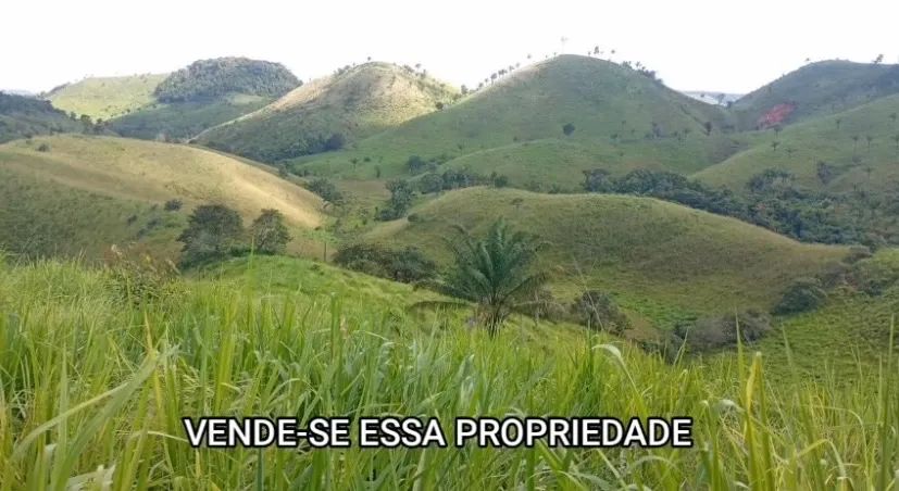 TERRA COM 170 HECTARES - Foto 4