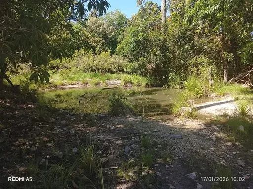 ?? IMÓVEL RURAL À VENDA  EXCELENTE OPORTUNIDADE - Foto 4