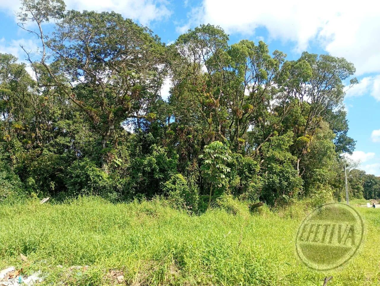TERRENO 450M² - GAIVOTAS - Foto 3