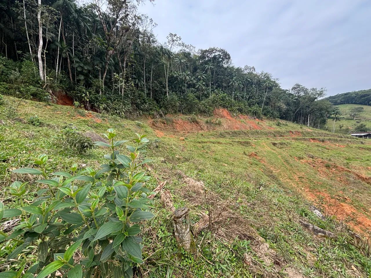 2 hectares com rio, mata preservada e vista para as montanhas | Santo Amaro da Imperatriz - Foto 4
