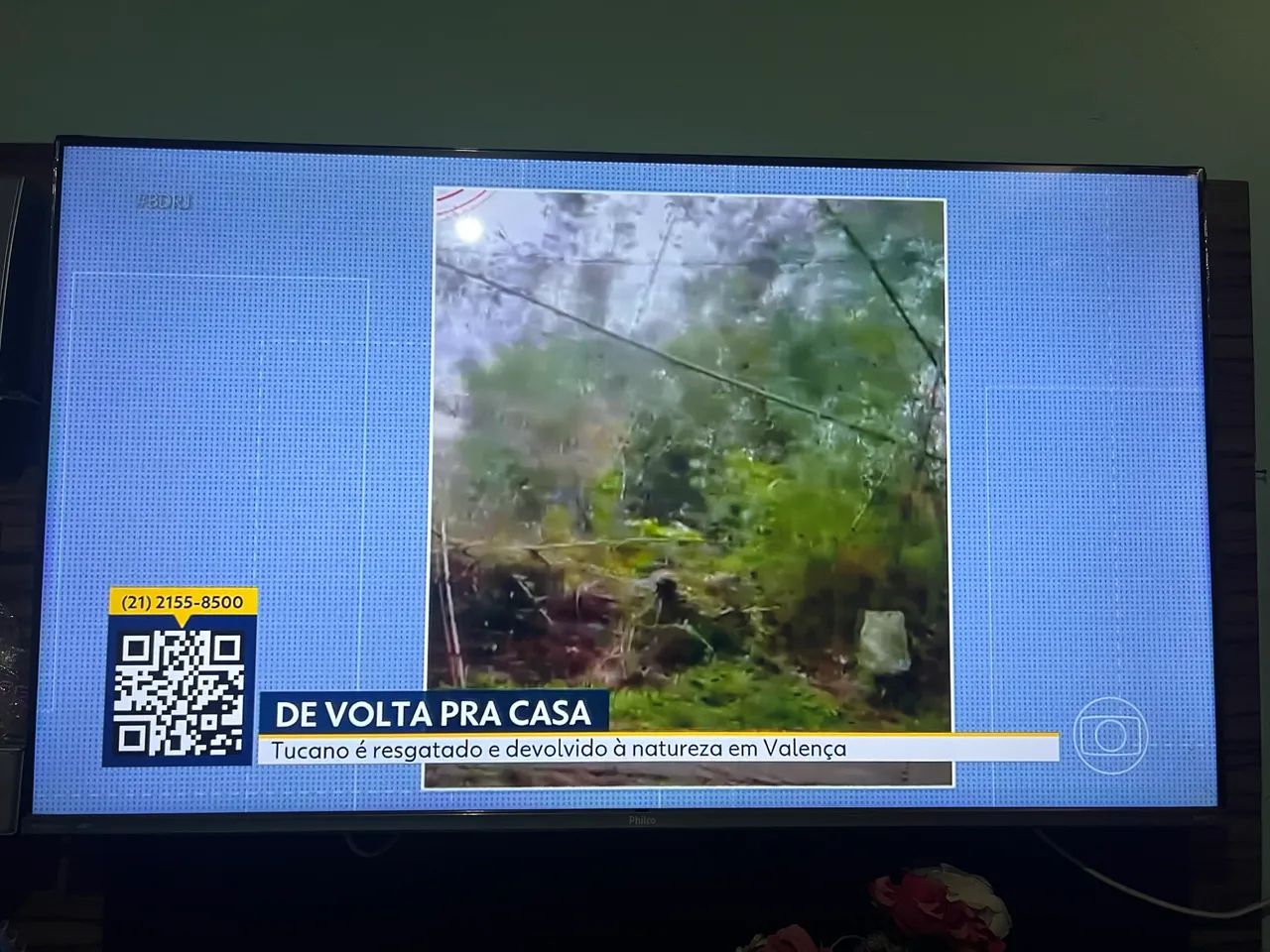 Vendo tv Philco 55 polegadas Roku