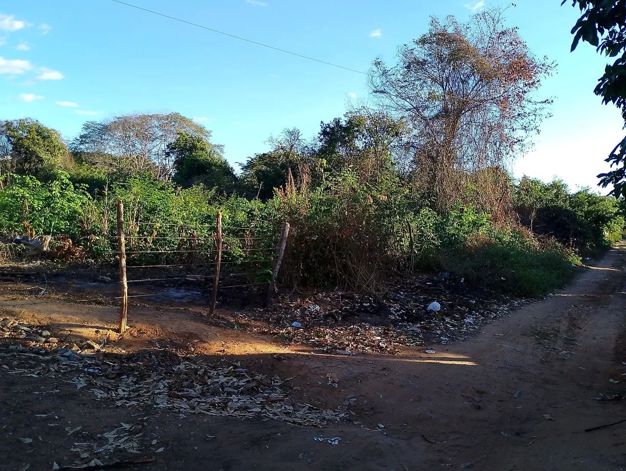 Venda ou aluga - Foto 2