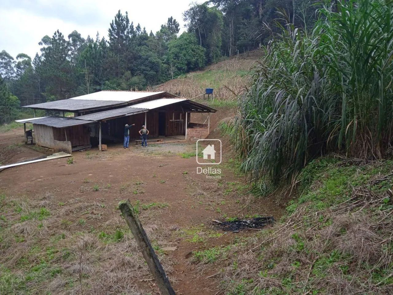 Sítio na BR 116 - Foto 3