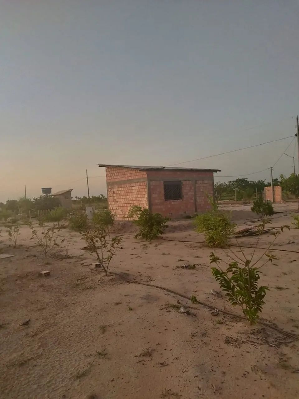 Foto - Boa Vista - Cidade Satélite