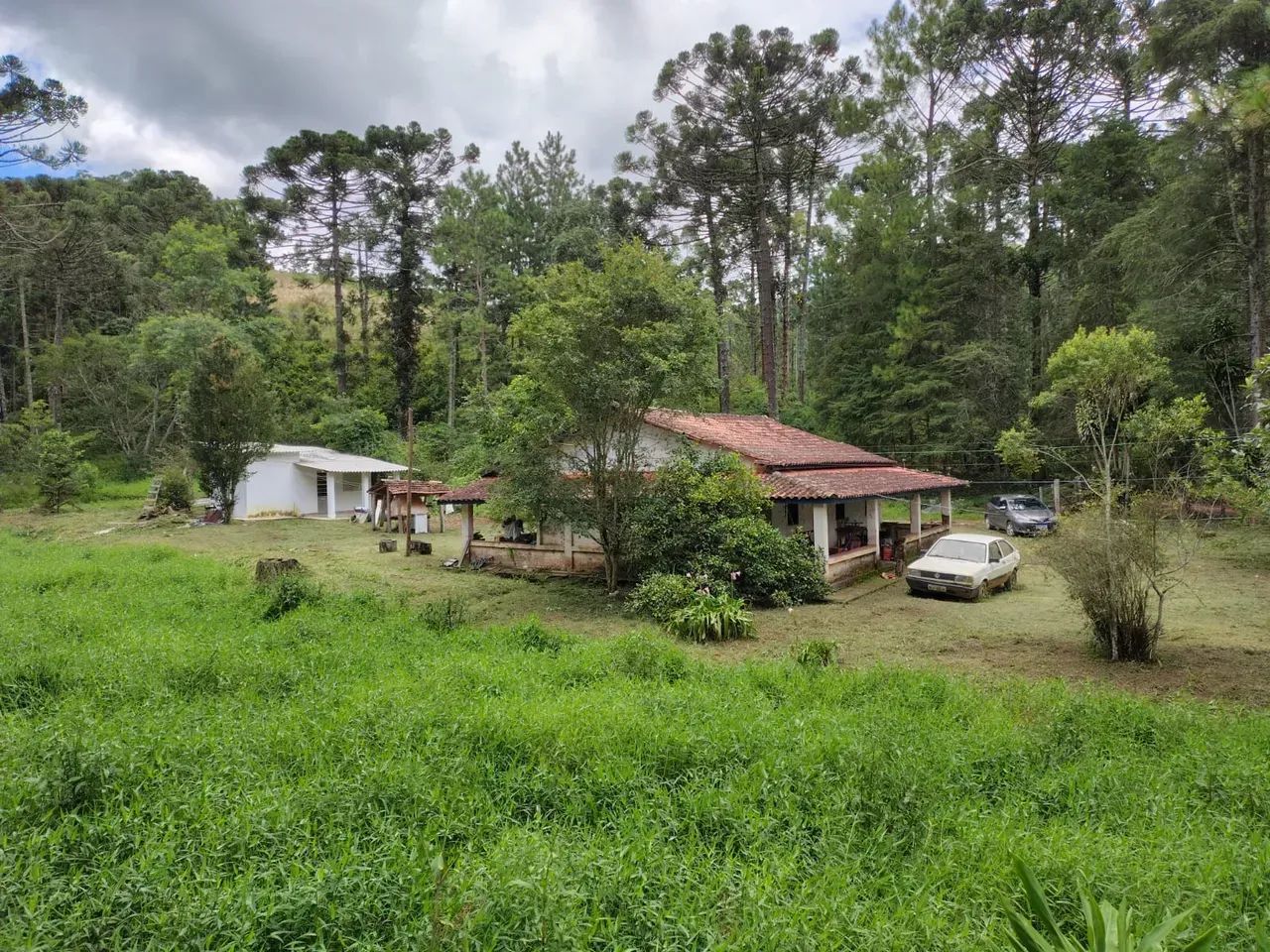 sitio 2.5 alqueires em Joanópolis sp - Foto 3