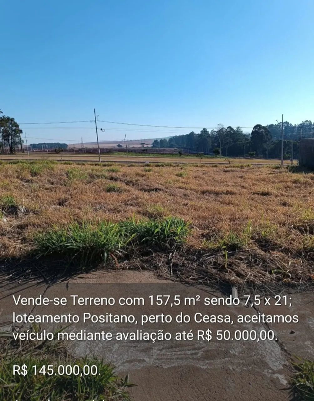 Foto - Cascavel - Country