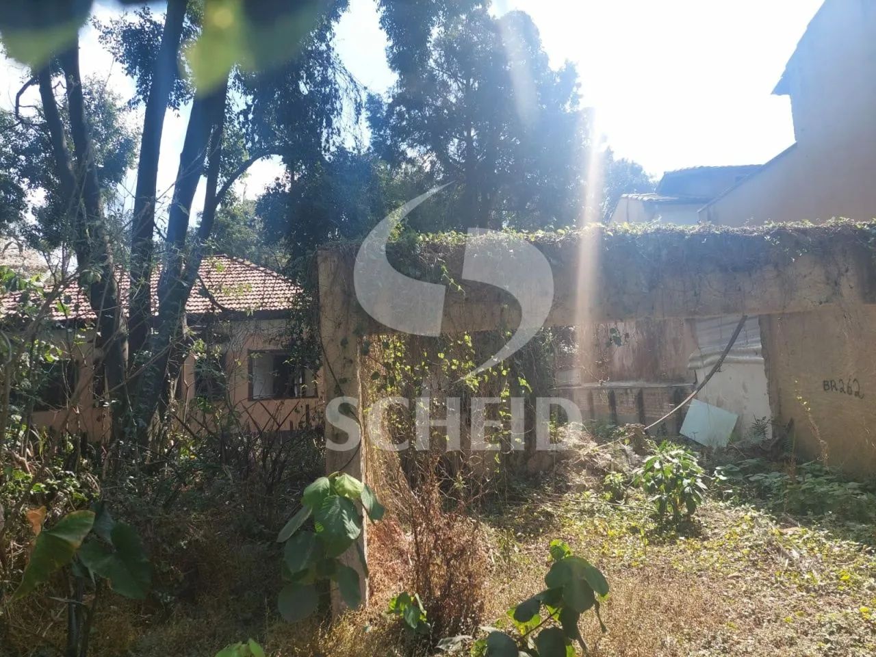 Terreno no Alto da Boa Vista - Foto 2