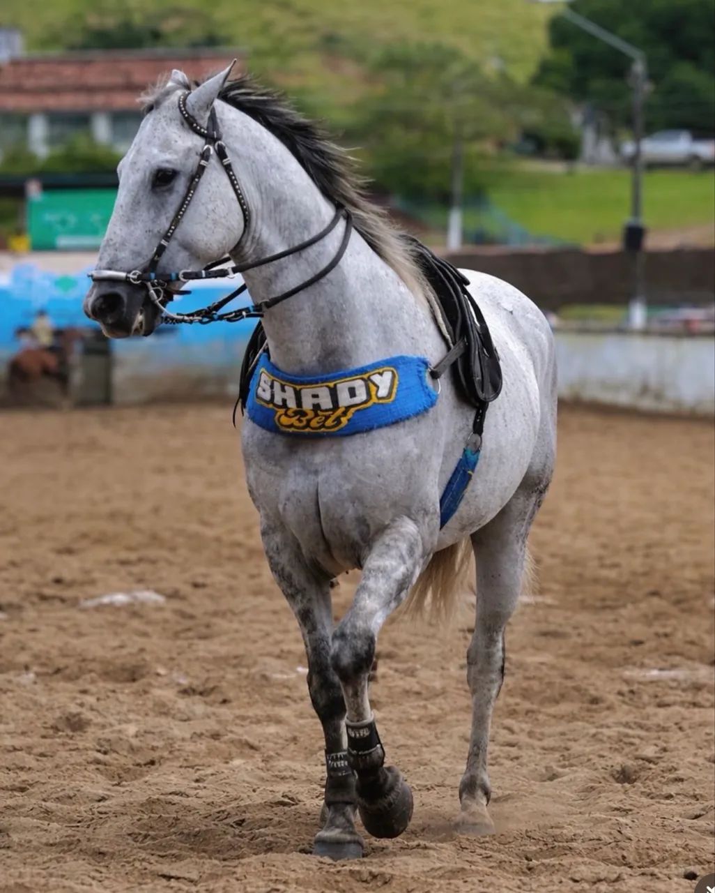 cavalo de direita 20mil - Foto 4