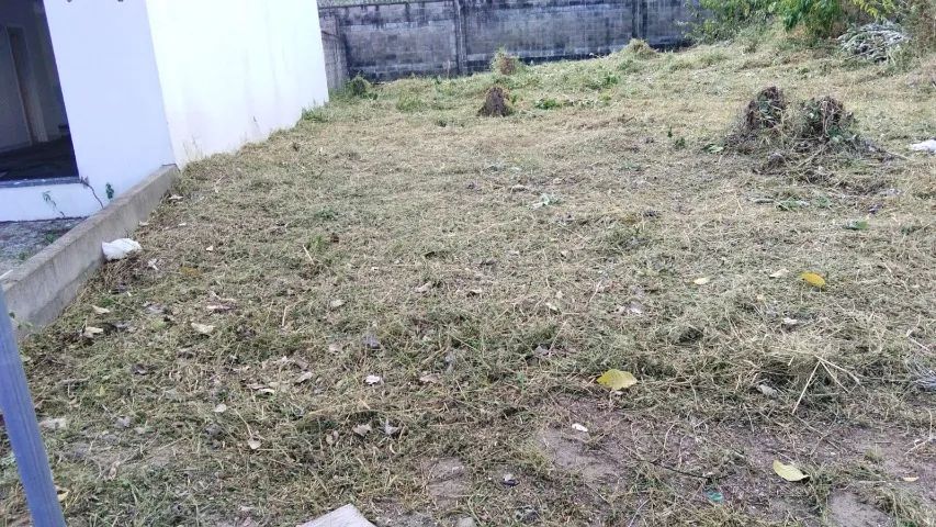 Lote Mosaico Ponta Negra 250m2 - Foto 2