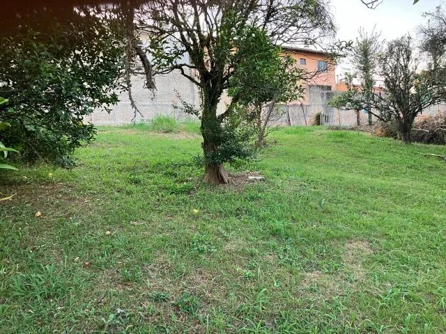 Foto - Campo Largo - Centro