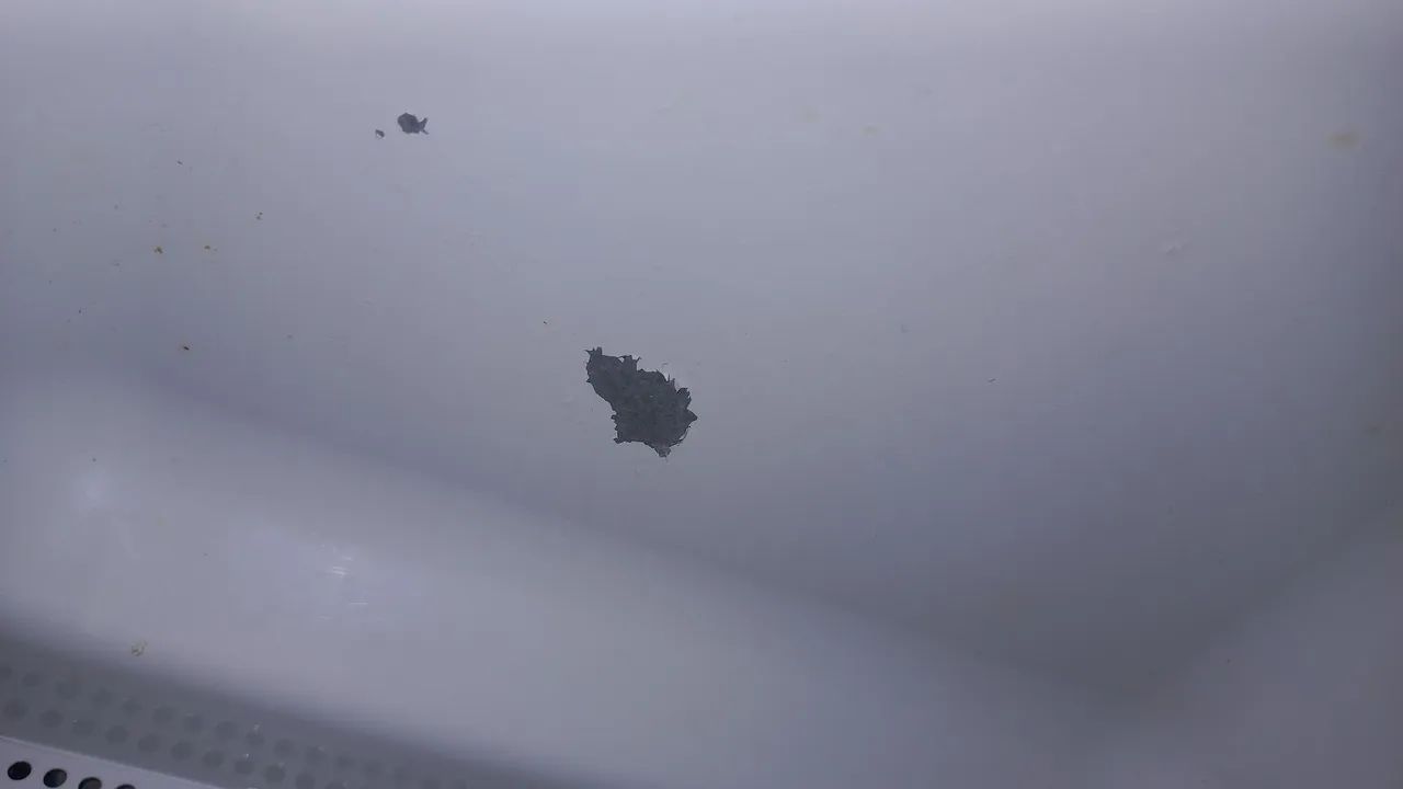 Microondas eletrolux - Foto 2