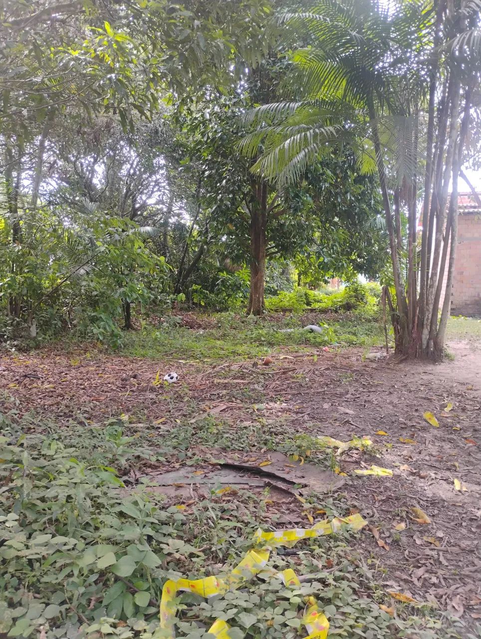 Terreno benevides - Foto 4