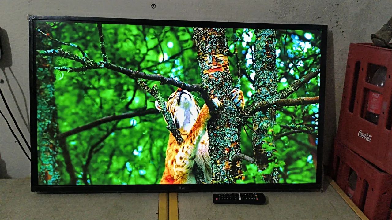 Tv Smart LG 43 Polegadas Top de Verdade! - Foto 4