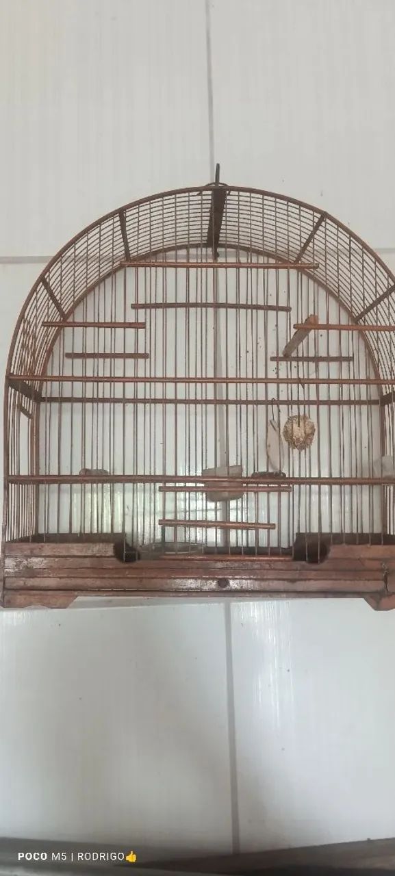 Vendo gaiolas em bom estado 