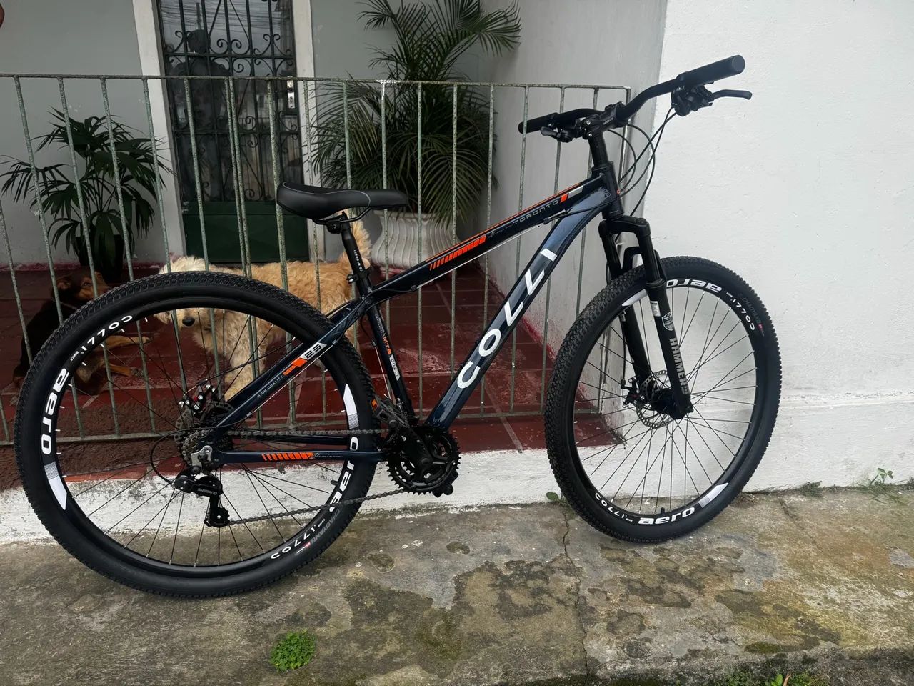 Bicicleta aro 29, Colli 