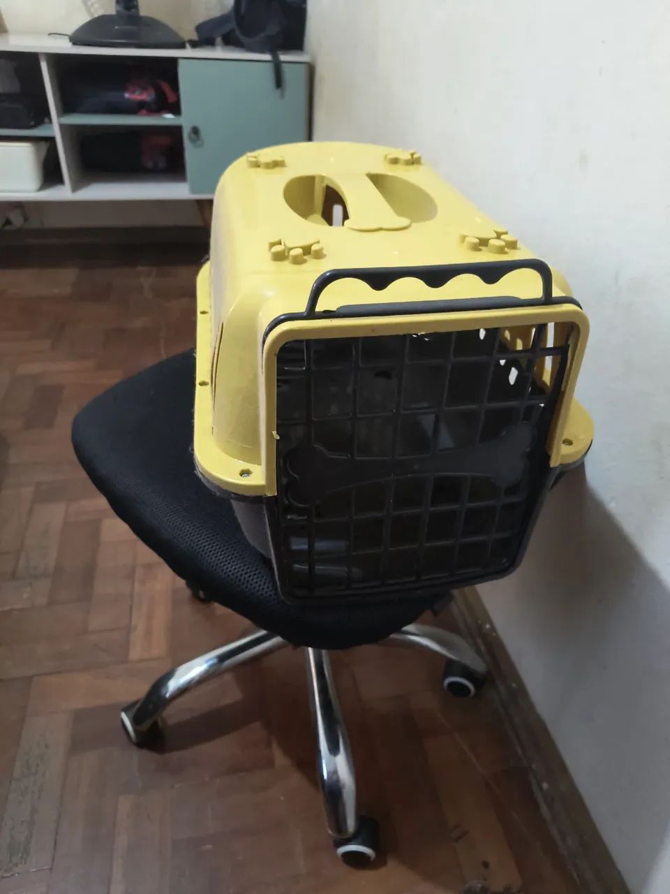 Caixa de transporte animal 