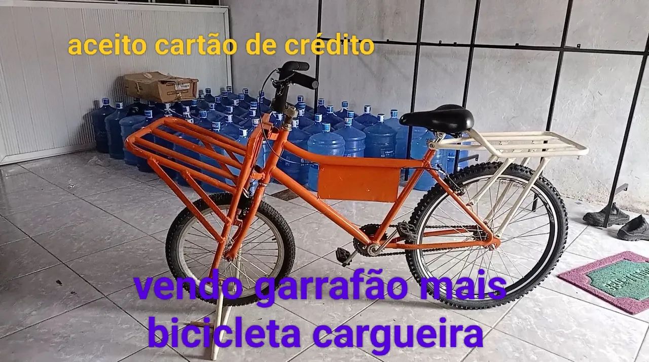 Bicicleta cargueira