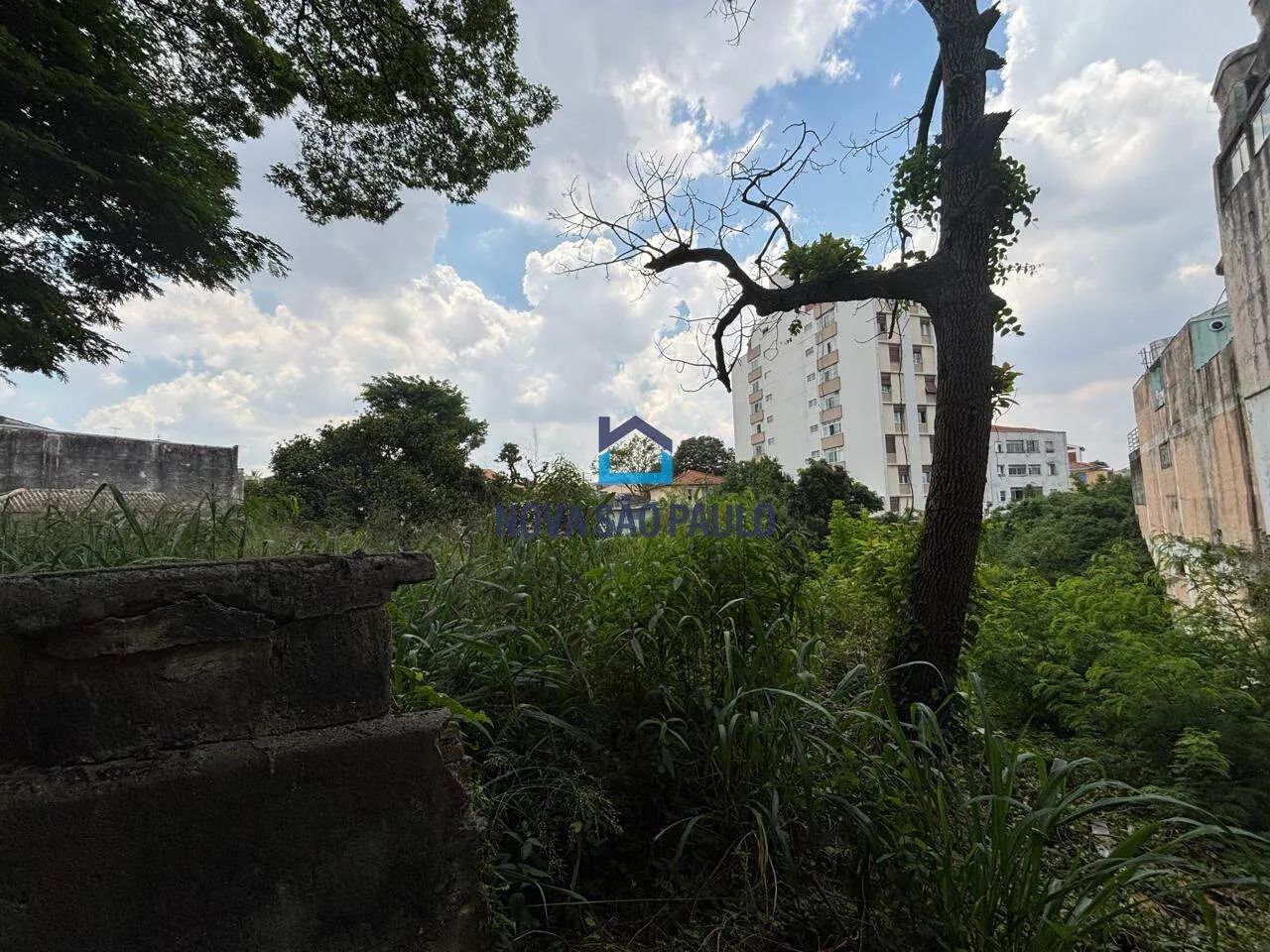 Área ZM - Jardim da Glória - Foto 4