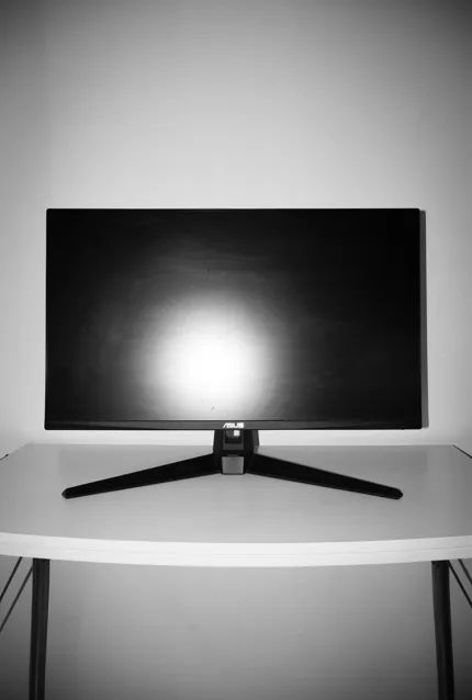MONITOR ASUS TUF GAMING 27 POLEGADAS 165HZ COM DISPLAY QUEIMADO