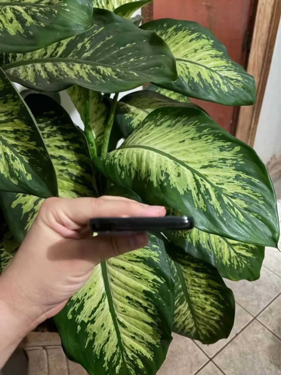 Celular Motorola Edge 30 Neo - Foto 5