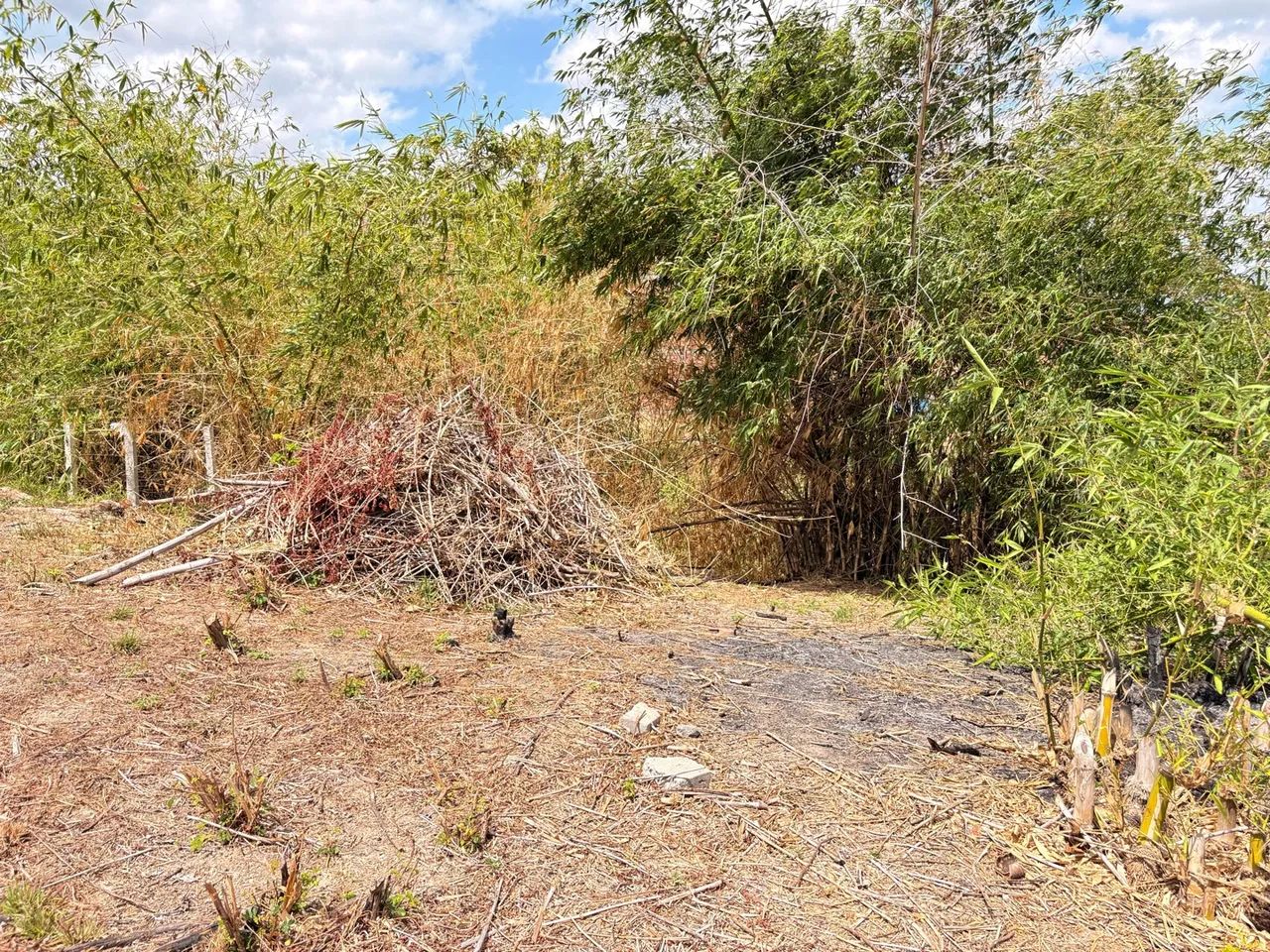 Terreno em Bacabeira  - Foto 5