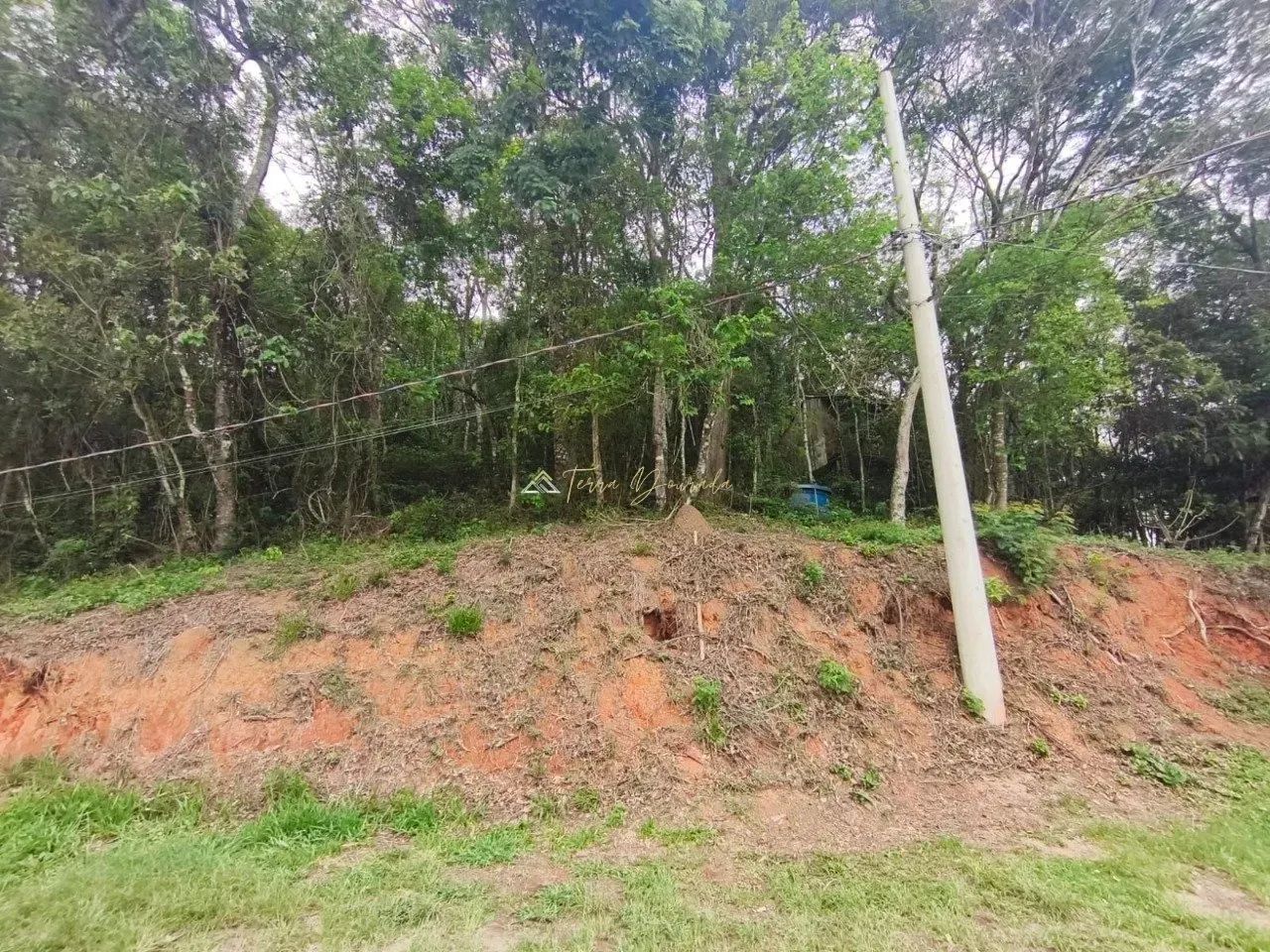 Lote à Venda no Bairro Barreirinho - Santo Antônio do Pinhal SP