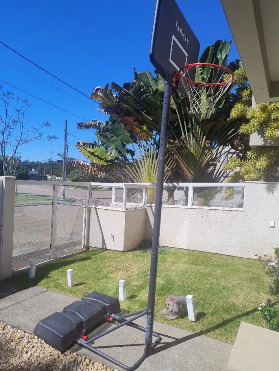 Tabela de basquete com poste e base - Foto 4