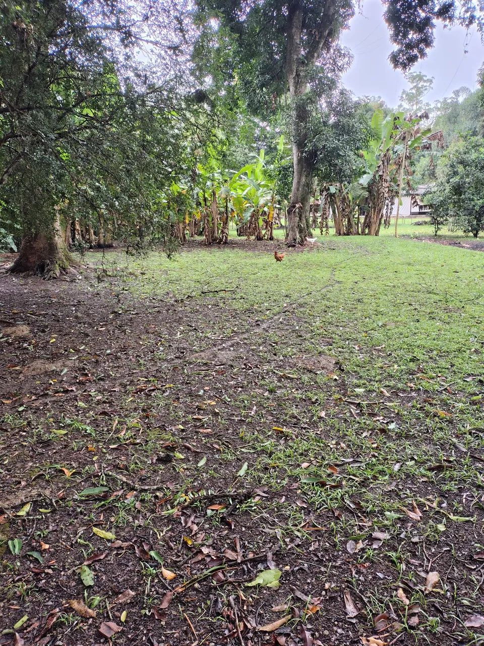 Terreno Plano  - Foto 5