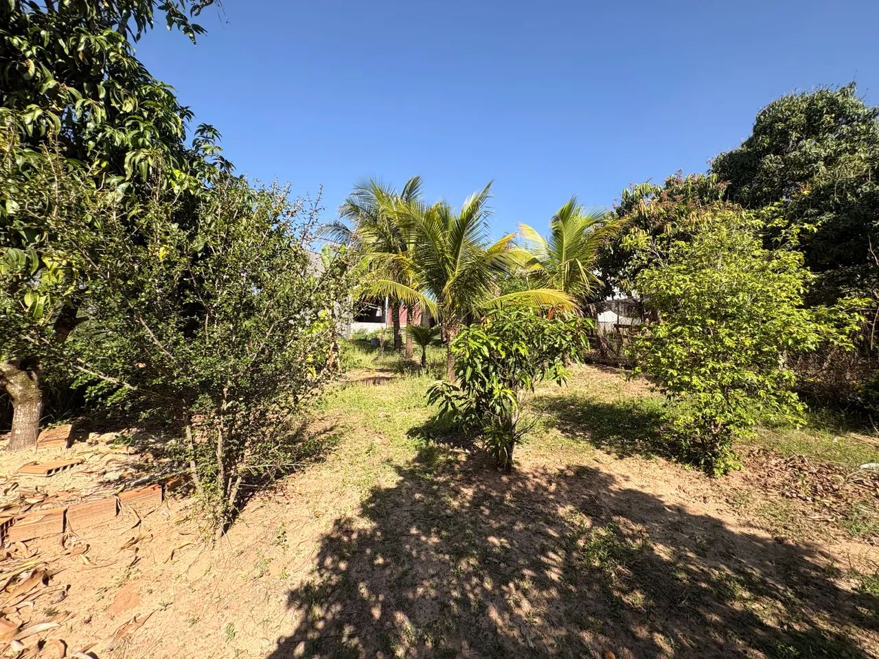 Vendo linda chácara  - Foto 4