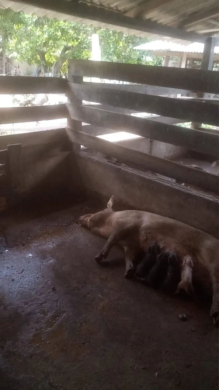 Vende-se 