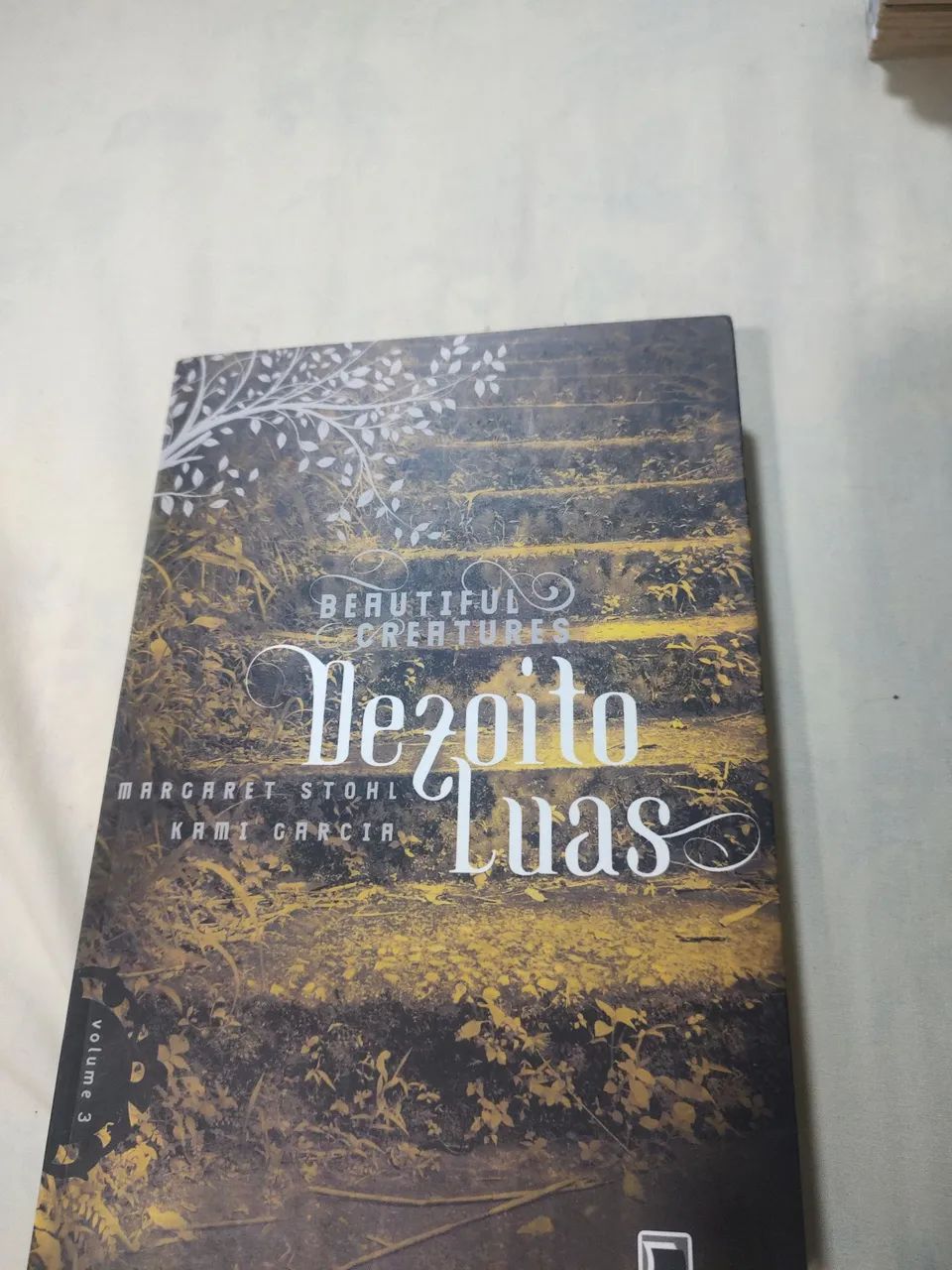 Autoditadas e leitores...lote de livros. - Foto 4