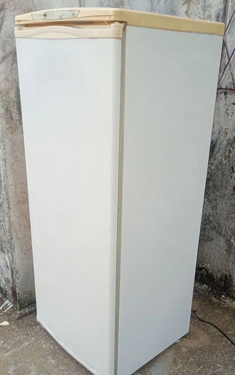 Freezer vertical 250L - Foto 2