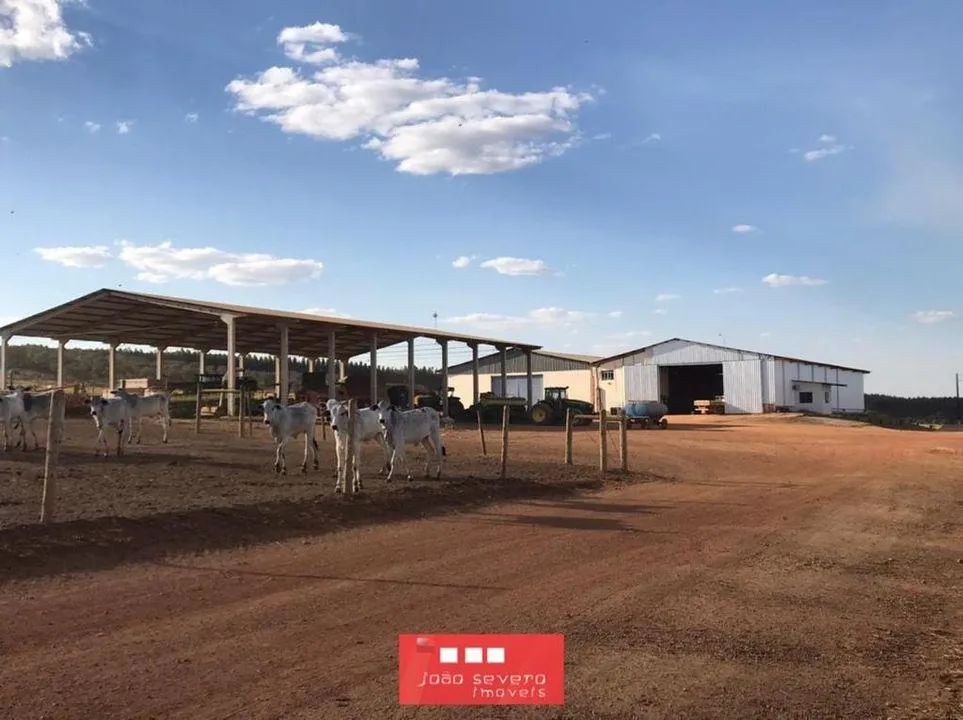 Fazenda para Venda em Cristalina - Foto 2