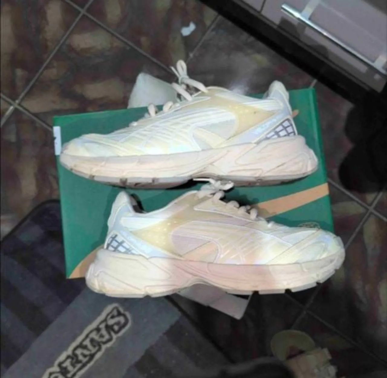 Puma Velophasis