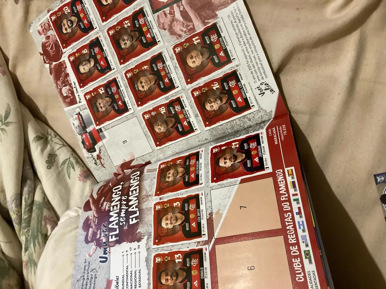 Álbum BRASILEIRÃO PANINI Original - Foto 4