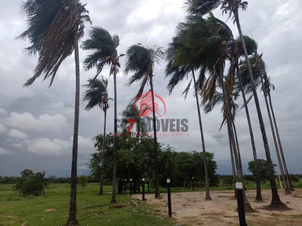 FAZENDA EM BRITÂNIA  GO - Foto 4