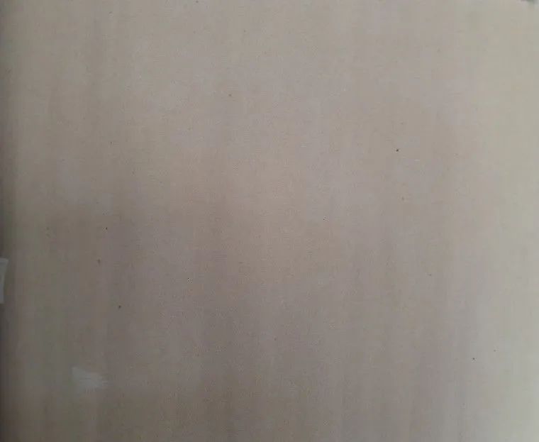 Chico da silva têmpera sobre papel - Foto 2