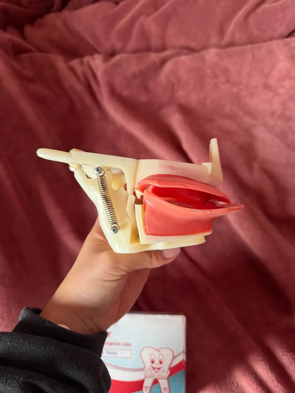 Manequim de prótese total dent art - Foto 4