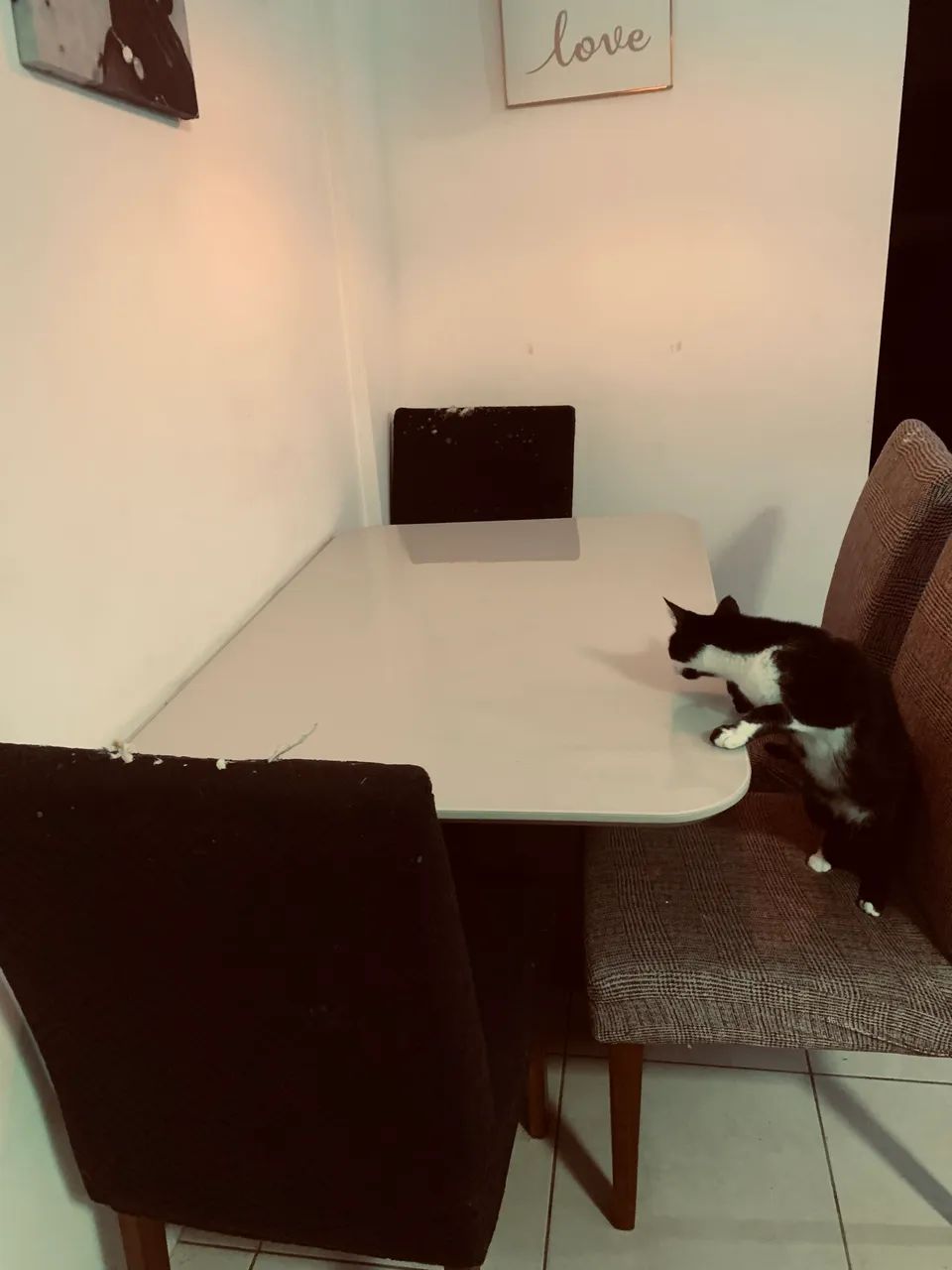 Mesa de jantar  - Foto 3