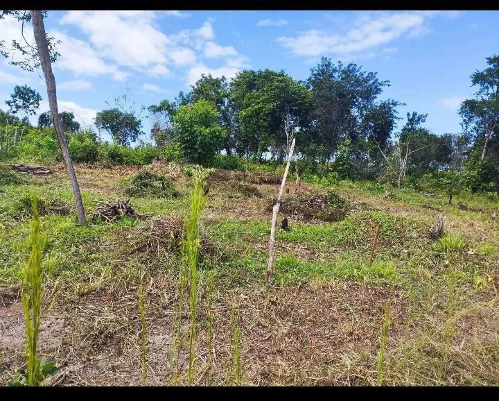 Terreno  - Foto 4